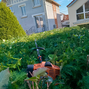 Elagueur à La Queue-en-Brie en Seine Saint Denis