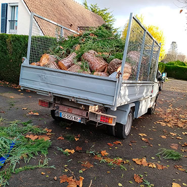 Elagueur à La Queue-en-Brie en Seine Saint Denis